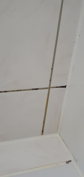 Zimmer AHORN Berghotel Friedrichroda