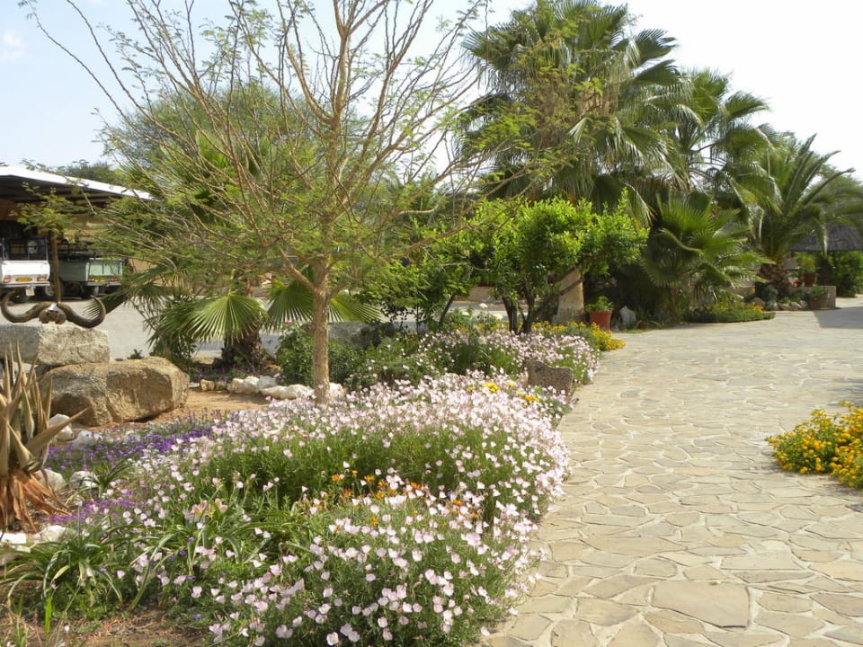 Kleiner Teil der Gartenanlage Onduruquea Guestfarm