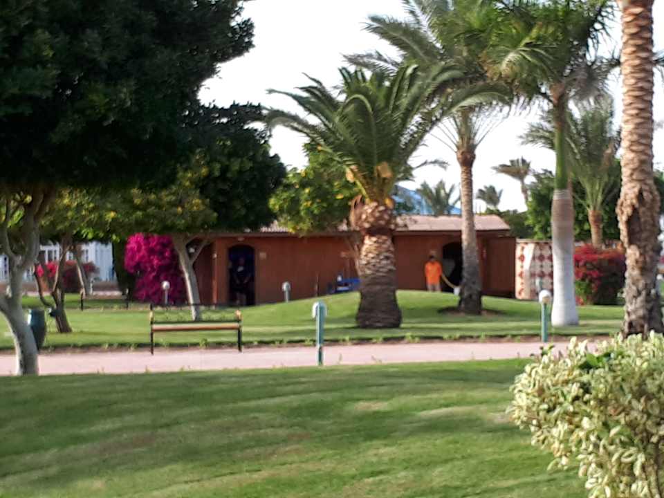 Gartenanlage Desert Rose