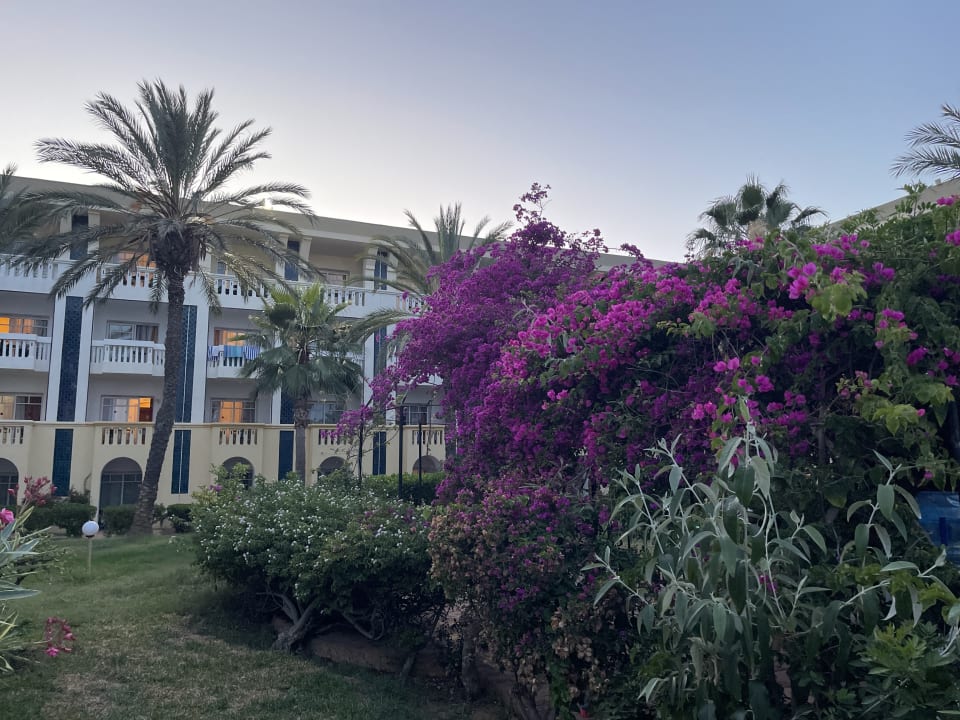 Gartenanlage Hotel Medina Belisaire & Thalasso