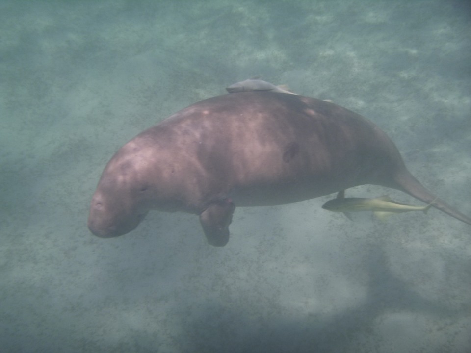 Sport & Freizeit Coral Hills Resorts & SPA