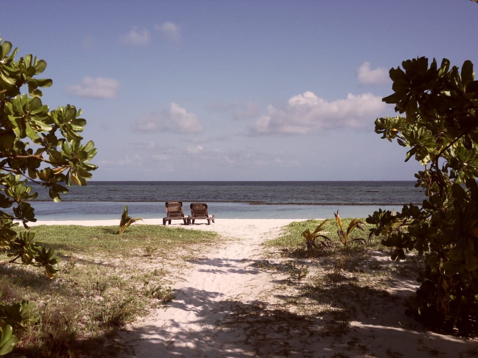 Ein traumhafter Ausblick Kuredu Island Resort & Spa