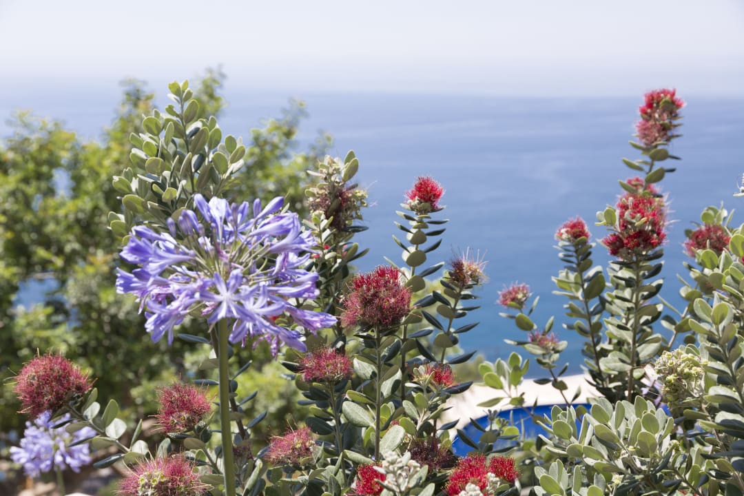 Ausblick TUI Blue Puntamare
