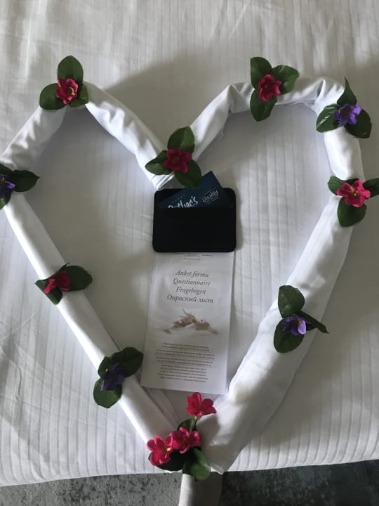 Zimmer Seaden Quality Resort & Spa