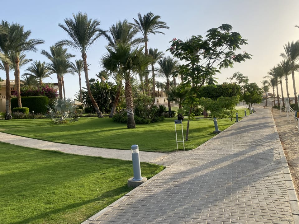 Gartenanlage Steigenberger Coraya Beach - Adults only