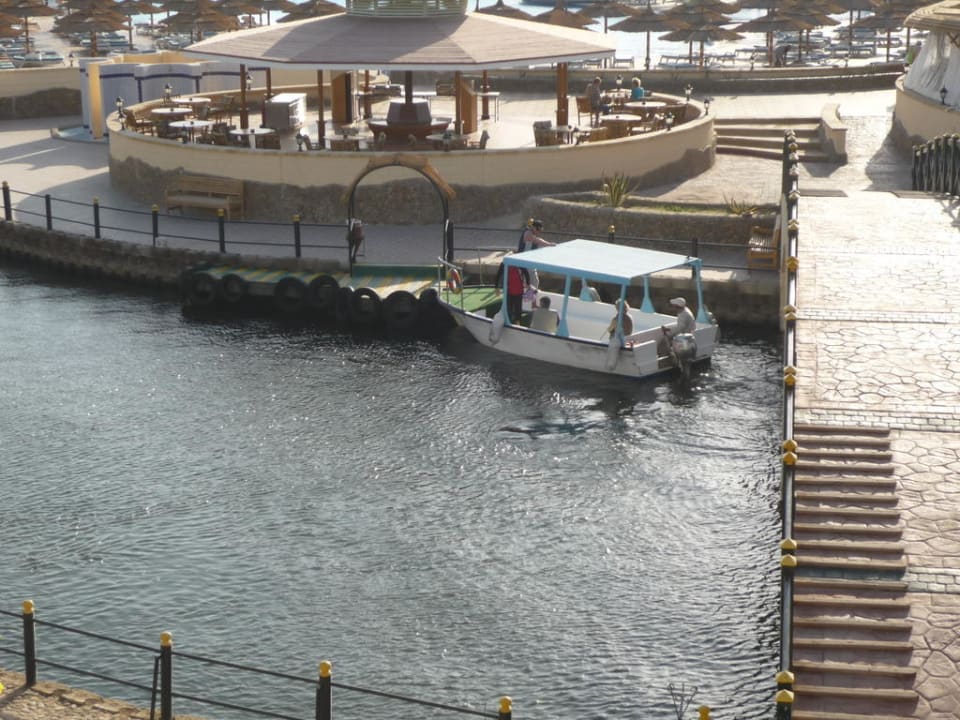 Shuttelbootservice Pickalbatros Dana Beach Resort - Hurghada