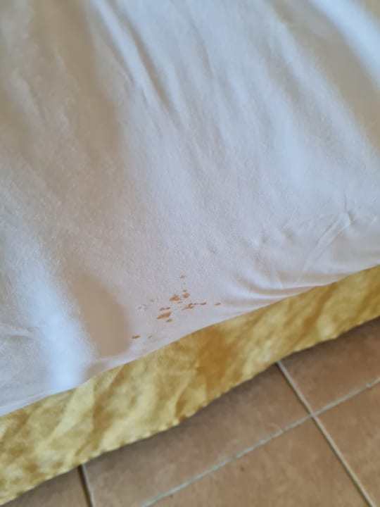 Zimmer Iberostar Selection Varadero