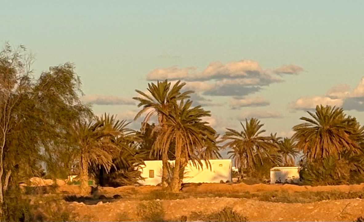 Sonstiges Vincci Helios Beach