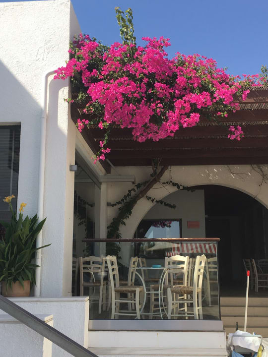 Gastro Hapimag Resort Damnoni