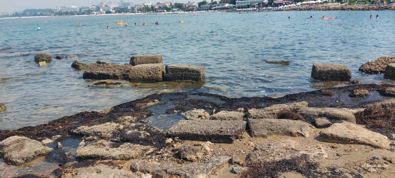 Strand Can Garden Beach