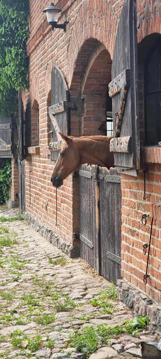 Sonstiges Pałac i Folwark Galiny