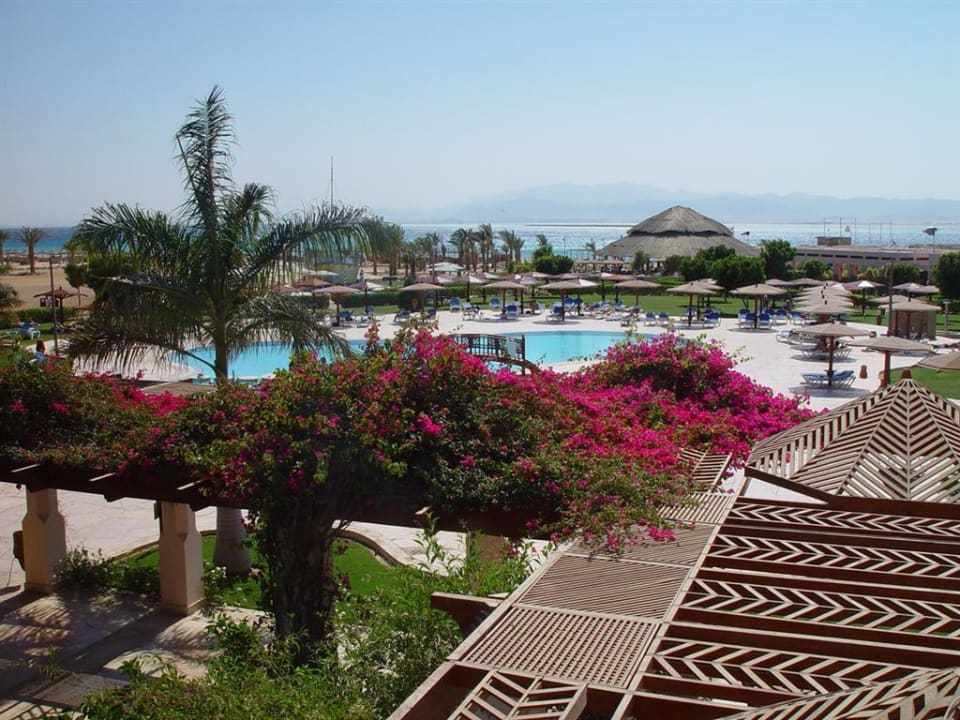 Blick auf den Pool ROBINSON SOMA BAY