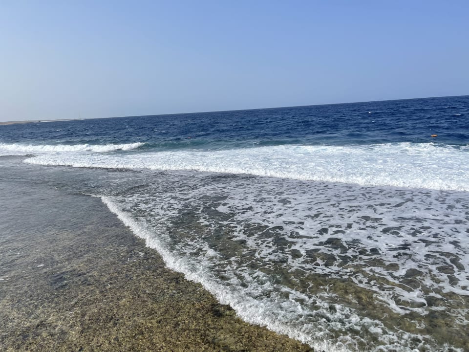 Strand Steigenberger Coraya Beach - Adults only