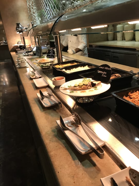 Gastro Makadi Spa - Adults only