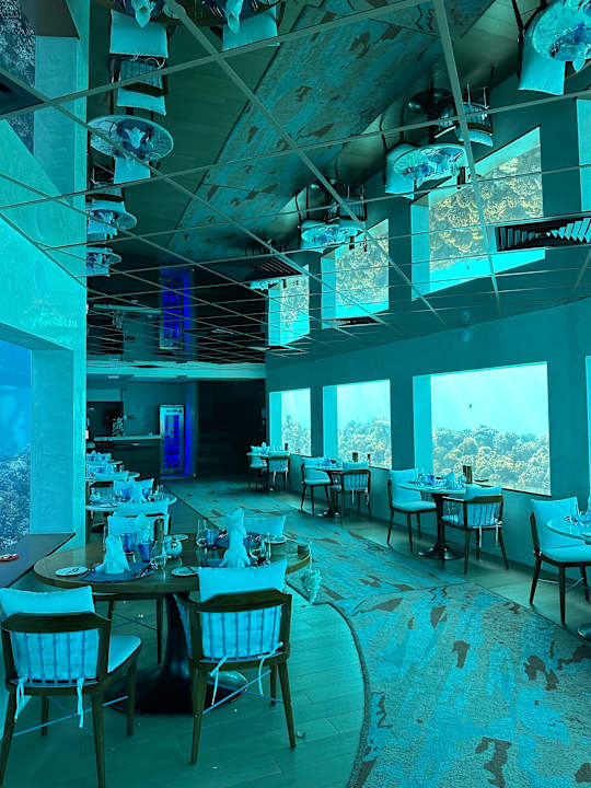 Gastro OBLU SELECT Lobigili