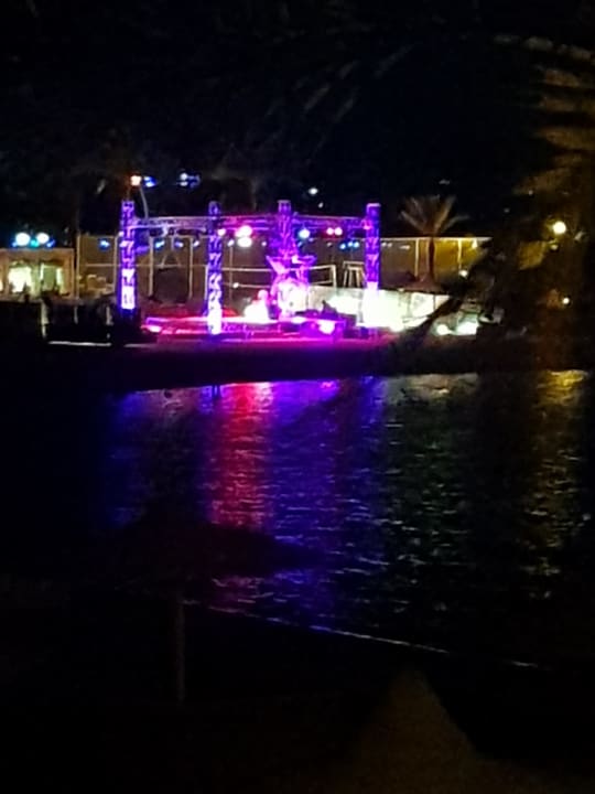 Sport & Freizeit Desert Rose