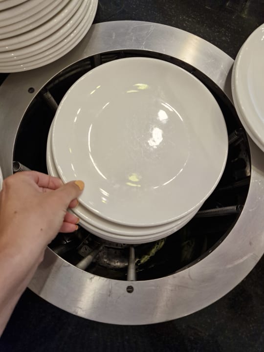 Sonstiges Well Palace Side