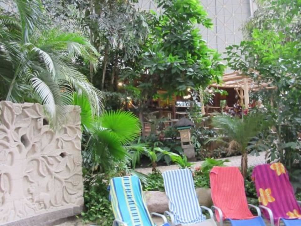 Lagoon Bar Tropical Islands Resort