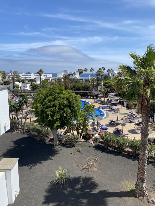 Ausblick allsun App.-Hotel Albatros