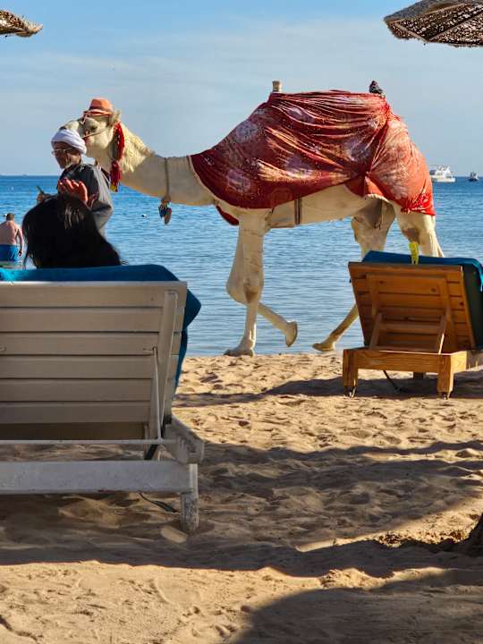 Strand Giftun Azur Resort