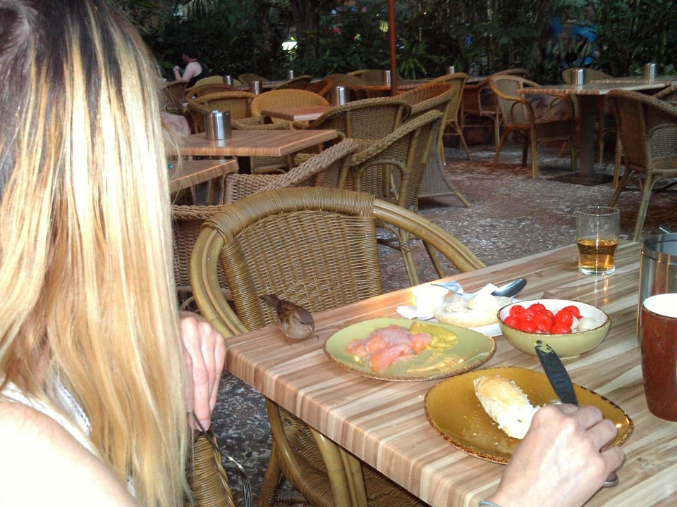 Besuch beim Frühstück Tropical Islands Resort