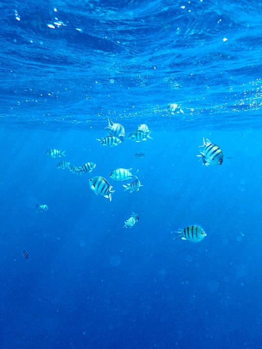 Sonstiges Diamond Beach by Pearl Resort