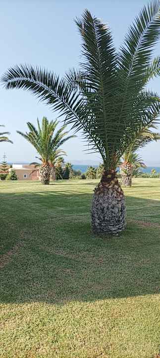 Gartenanlage Hotel Horizon Beach Resort