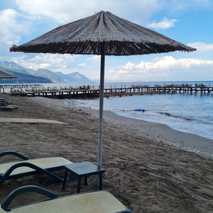 Strand Balmy Foresta