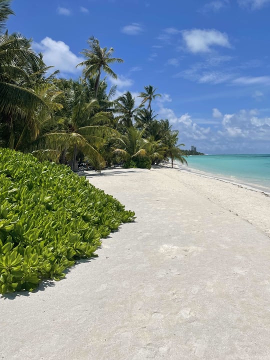 Strand Meeru Maldives Resort Island