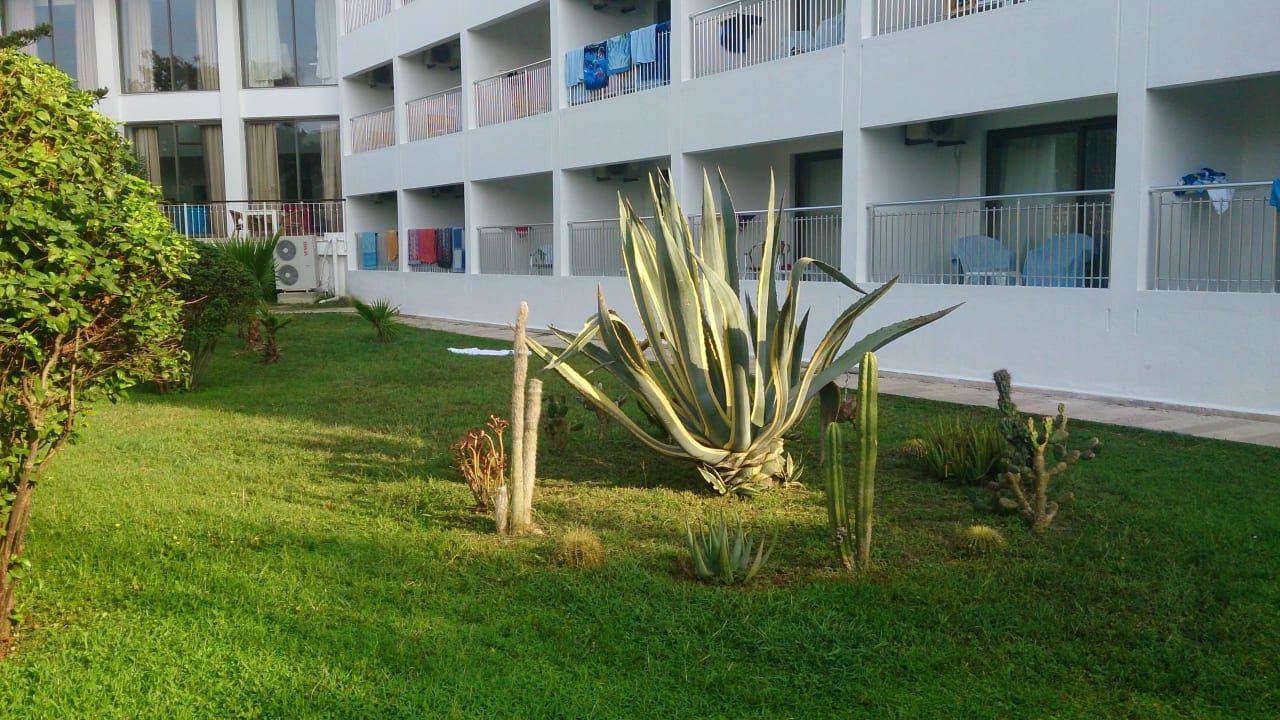 Ogród Hotel Serra Park