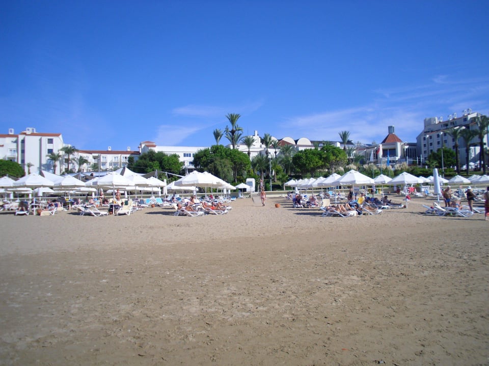 Der Strand  PALOMA Perissia