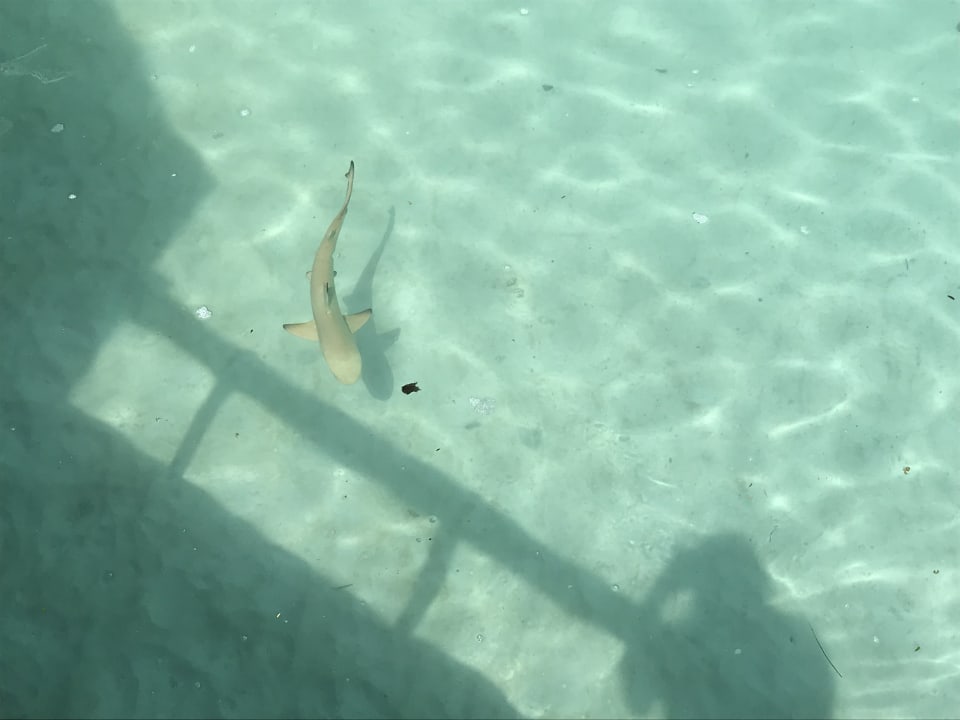 Strand Kurumba Maldives