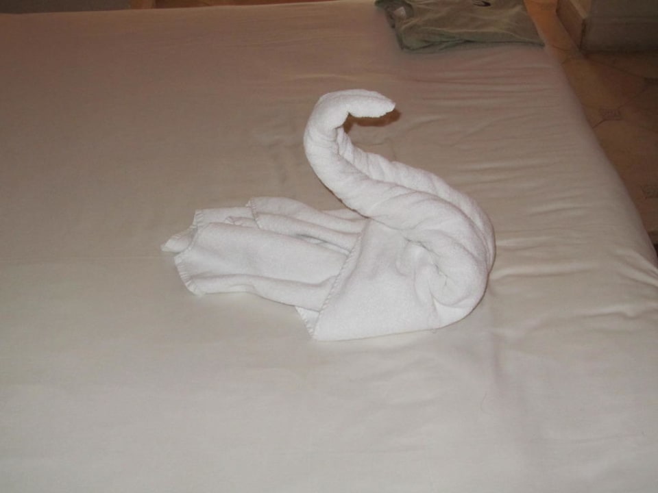 Schwan! Makadi Palace