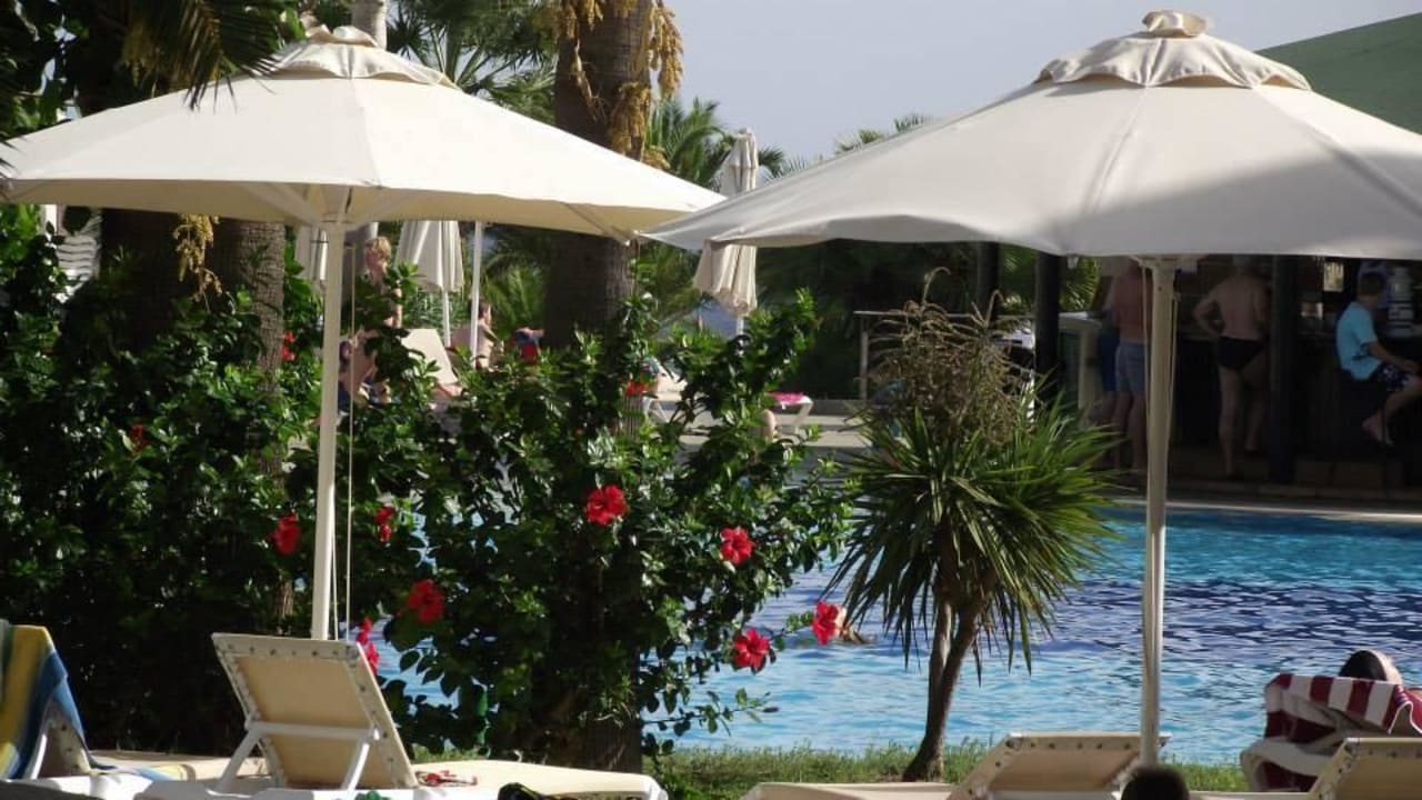 Pool blau punta reina