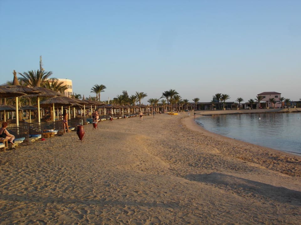 Sehr schöner Sandstrand Beach Albatros Resort