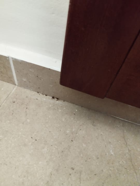 Zimmer Apollonia Beach Resort & Spa