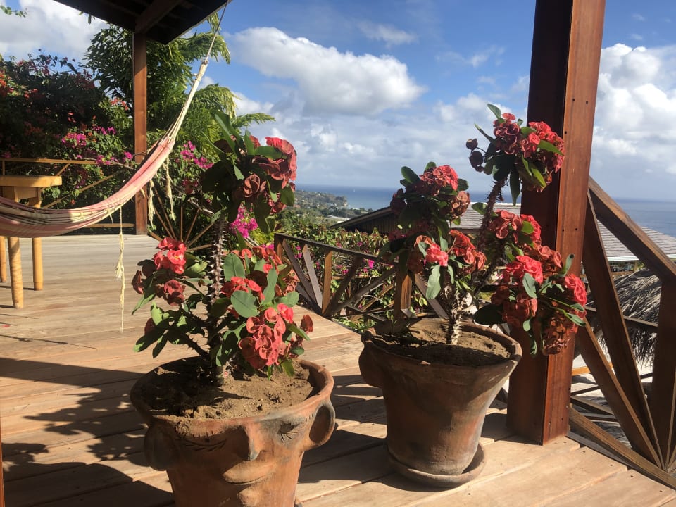 Zimmer Tet Rouge Resort