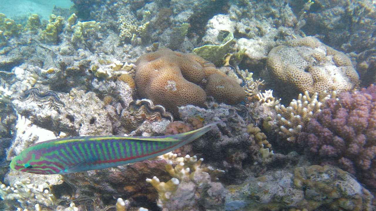 Sport & Freizeit Makadi Spa - Adults only