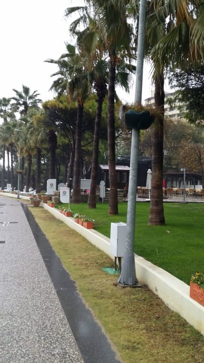 Barut Hemera Barut Hemera