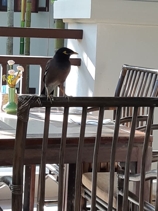 Gastro Khaolak Laguna Resort