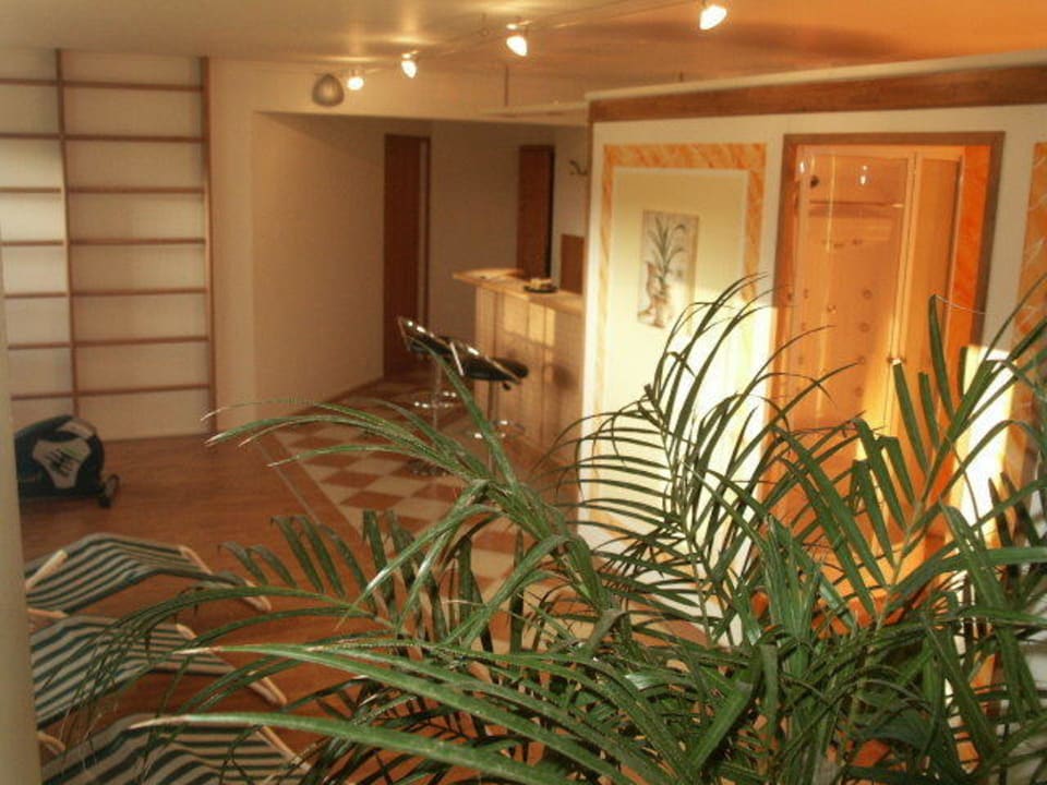 Sauna Pension Salzingerhof