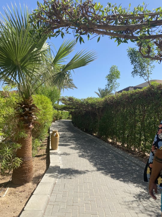 Strand Jaz Makadi Oasis Resort