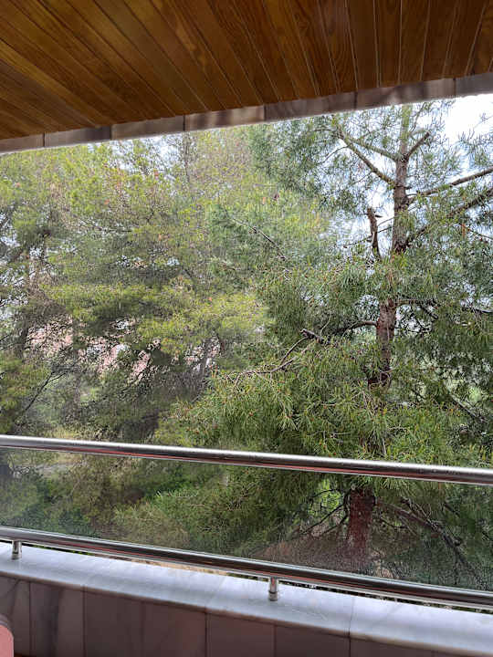 Ausblick Hotel Serrano Palace