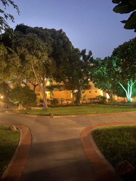 Gartenanlage ROBINSON ESQUINZO PLAYA
