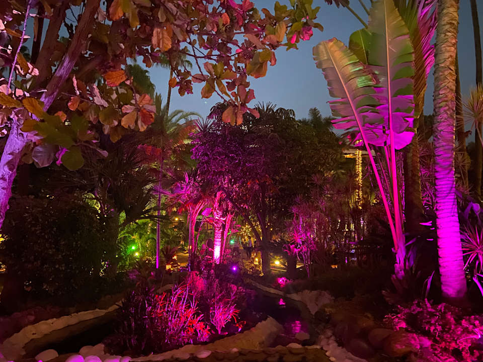 Gartenanlage Hotel Parque Tropical