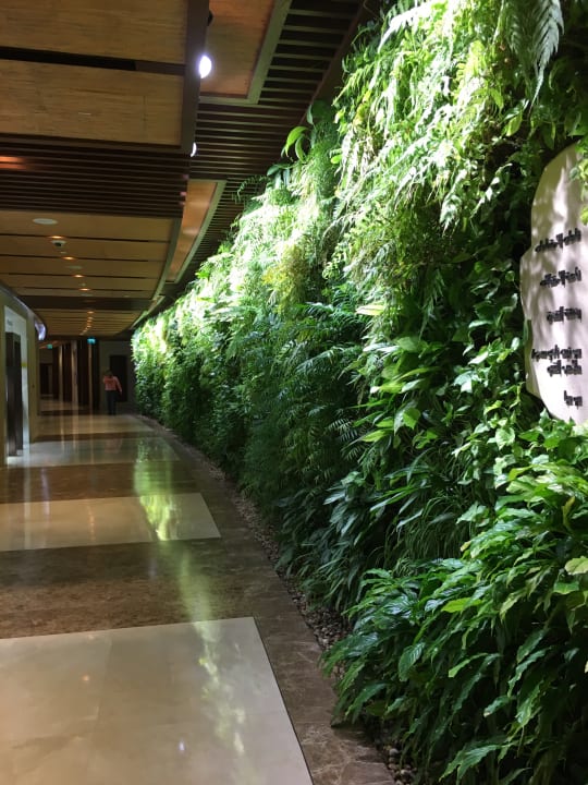 Sonstiges Sofitel Dubai The Palm Resort & Spa