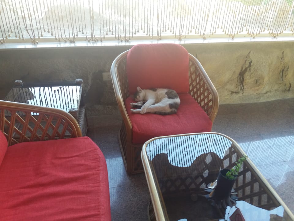 Sonstiges Hotel Caves Beach Resort (Adults Only)