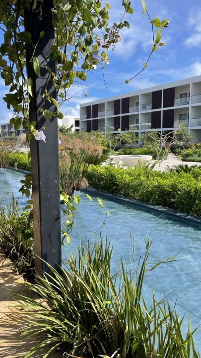 Gartenanlage Live Aqua Punta Cana - All Inclusive - Adults Only