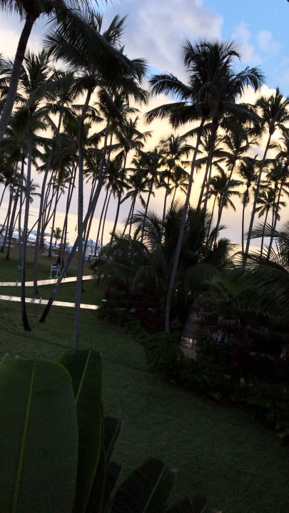 Gartenanlage Viva V Samana by Wyndham – Adults Only
