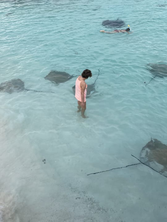 Sport & Freizeit NH Collection Maldives Reethi Resort